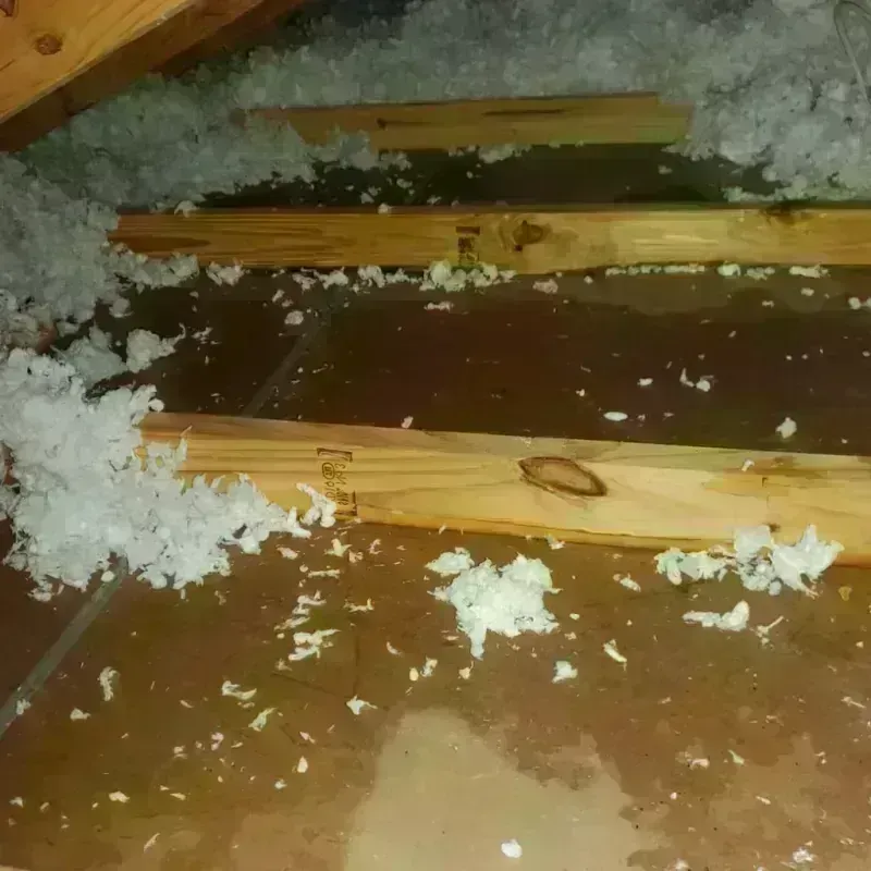 Attic Water Damage in Caledonia, MN