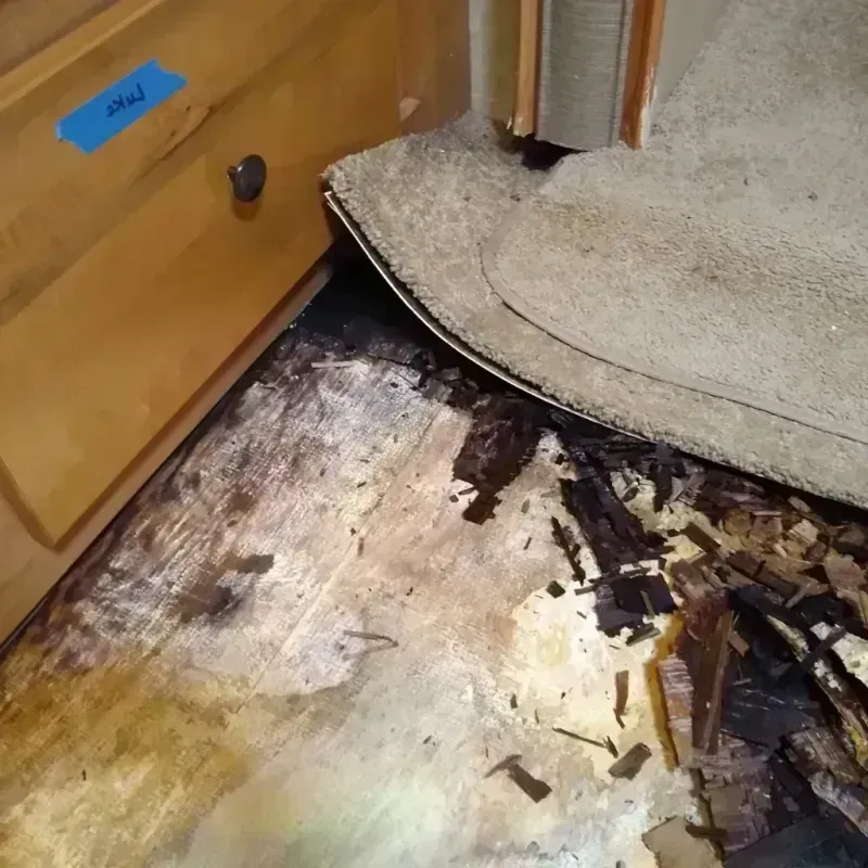 Wood Floor Water Damage in Caledonia, MN